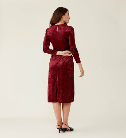 Abel Burgundy Velvet Dress