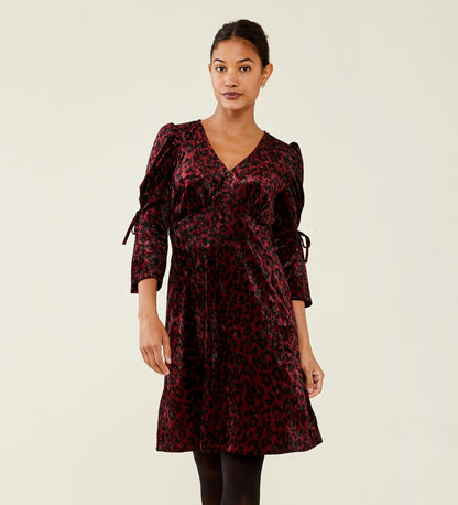 Lola Velvet Knee Length Dress