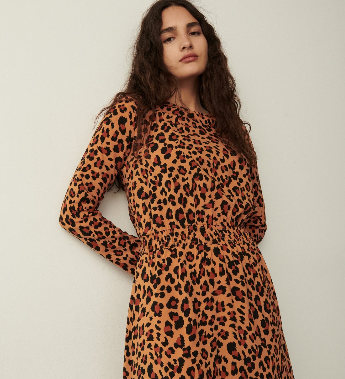 Theo Leopard Print Dress