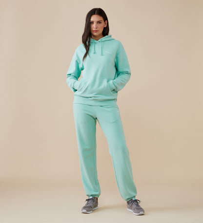 Arya Sea Green Hoodie