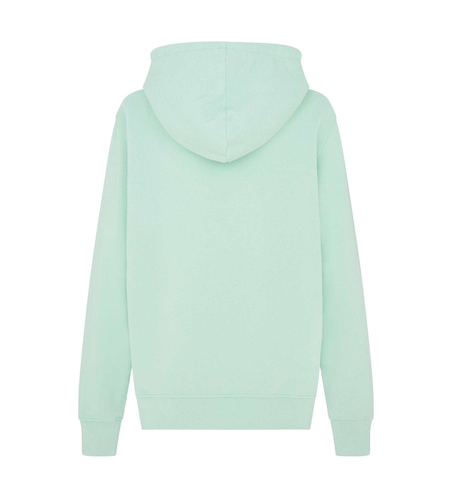 Arya Sea Green Hoodie